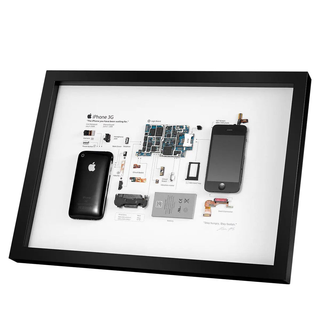 iPhone 3G Teardown Frame | Collectible Apple Tech Art