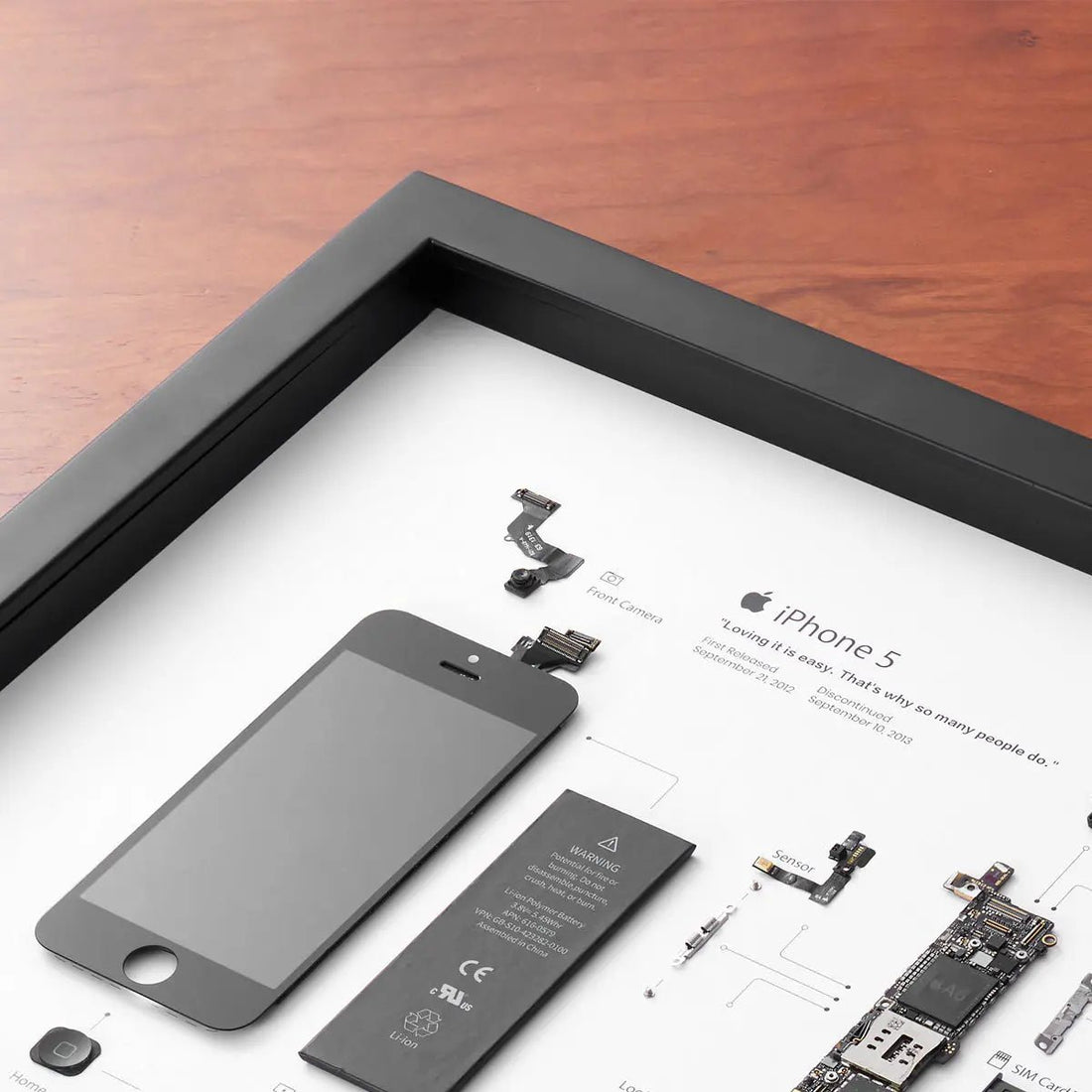 iPhone 5 Teardown Frame | Collectible Apple Tech Art