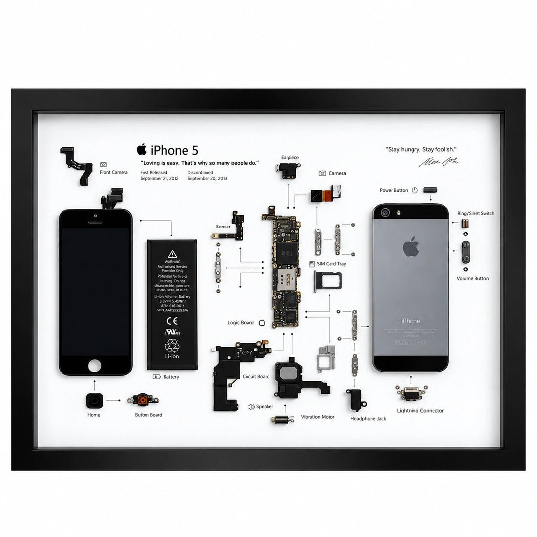 iPhone 5 teardown frame featuring original phone parts on a white background