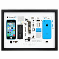 Blue iPhone 5C teardown frame with original phone components on a white background