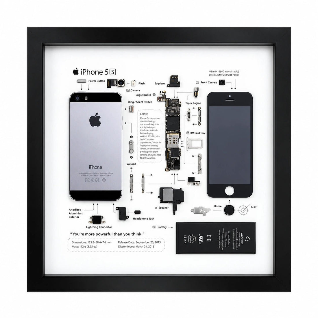 iPhone 5S teardown frame with original phone parts arranged on a white background