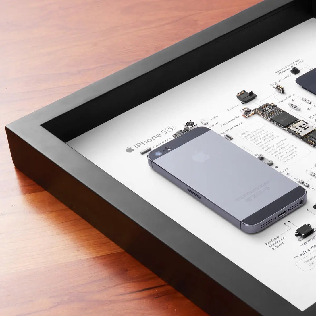 iPhone 5S Teardown Frame | Collectible Apple Tech Art