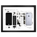 iPhone 6 teardown frame with original phone parts arranged on a white background