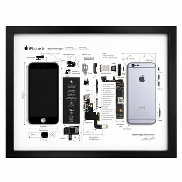 iPhone 6 teardown frame with original phone parts arranged on a white background