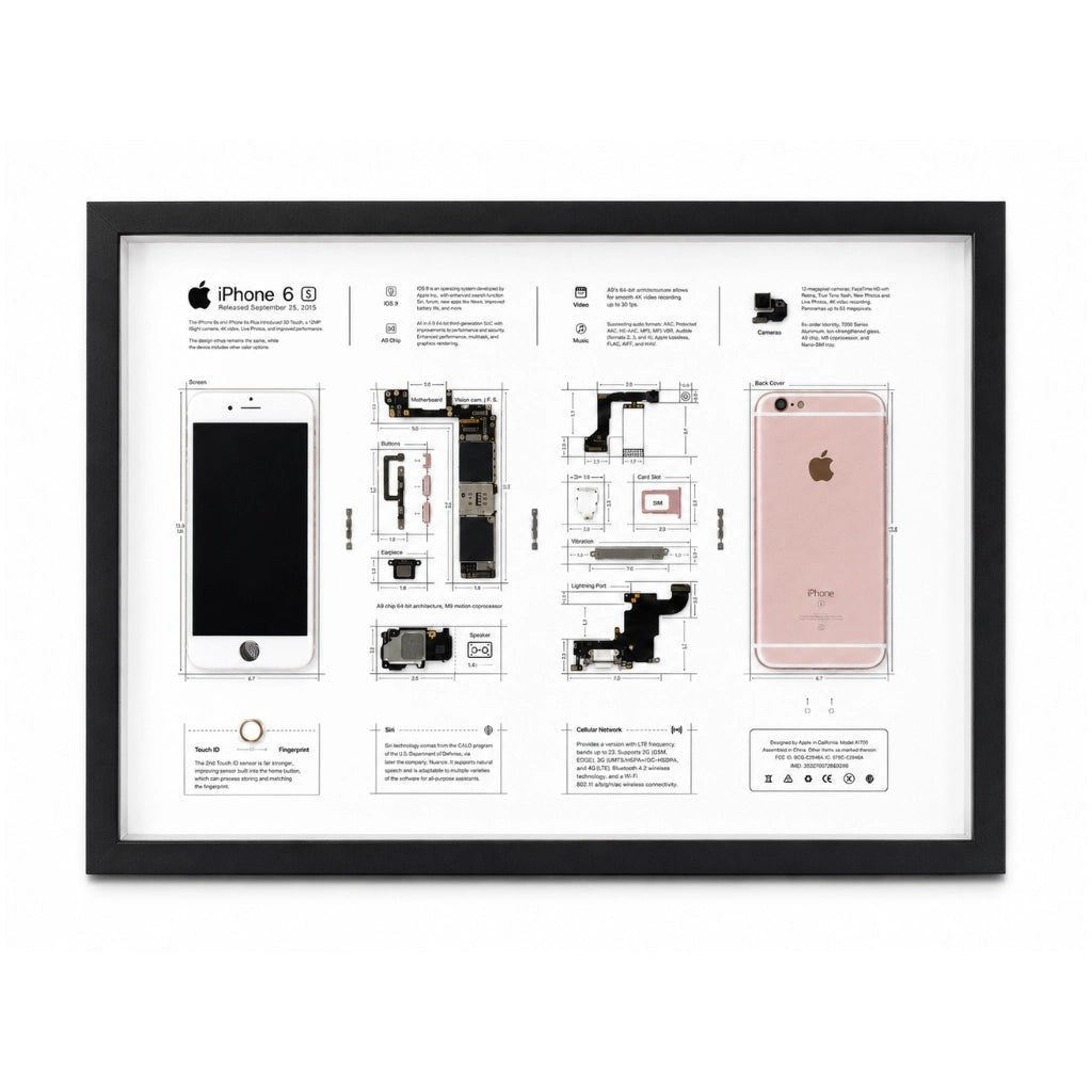 iPhone 6S teardown artwork with original phone components arranged in a display frame
