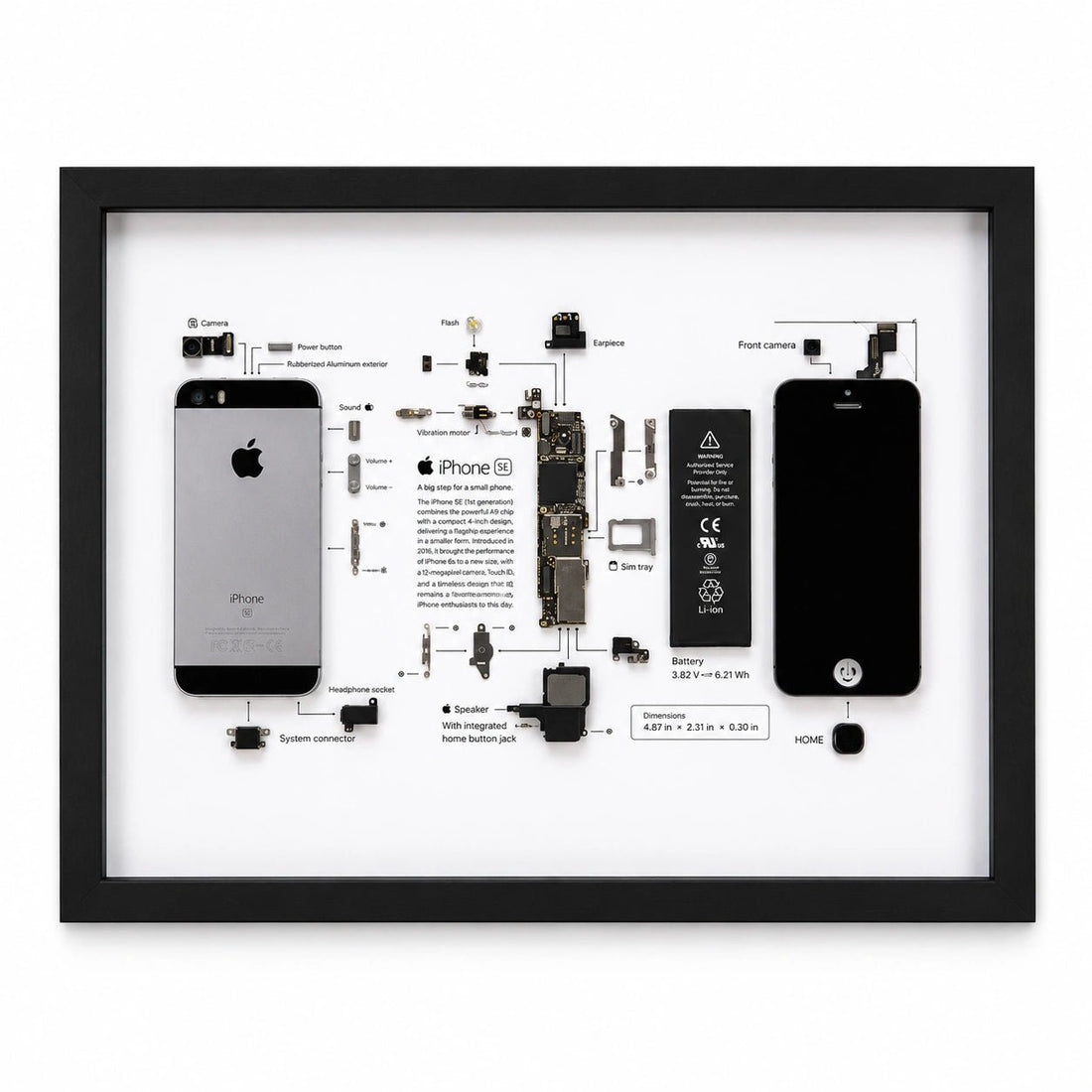 iPhone SE 1st Generation teardown frame with original phone components on a white background