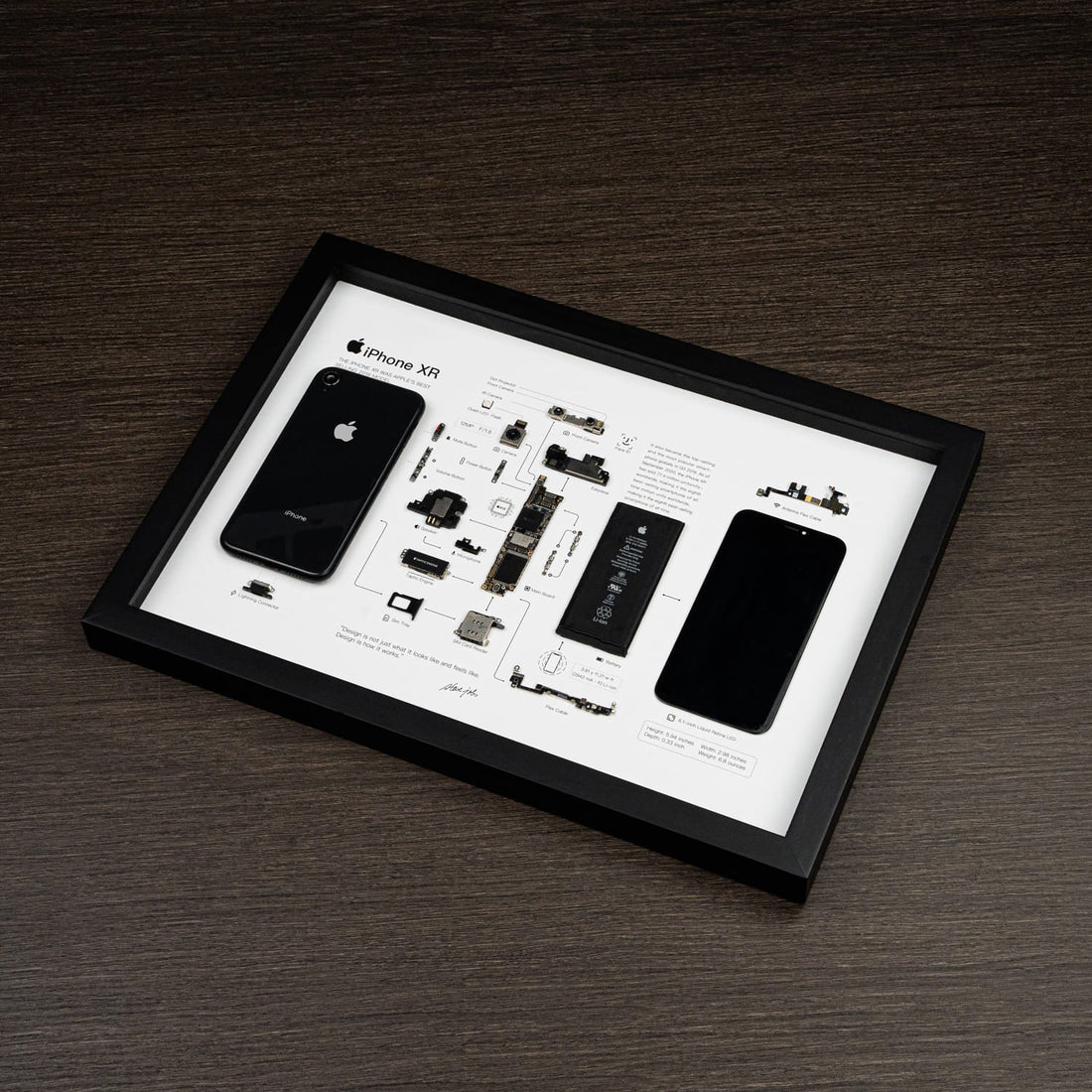 iPhone XR Frame