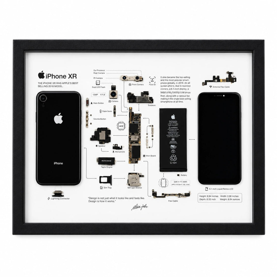 iPhone XR teardown frame with original phone components displayed on a white background